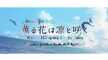 [Anime4up rest] KHWRTS EP 02 HD